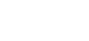 THE FINALS
